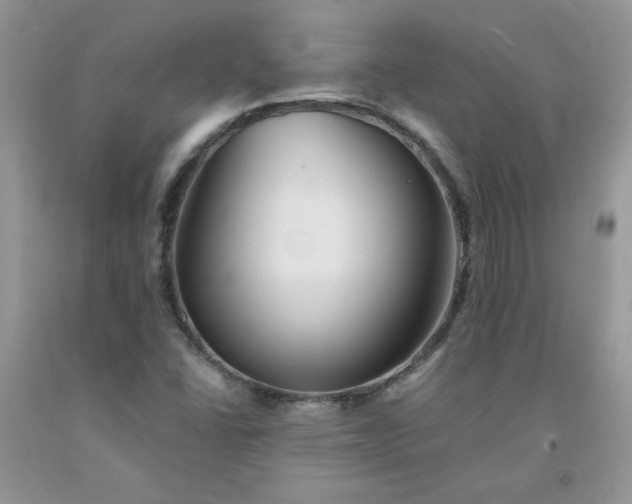 X0000091681406200709061054