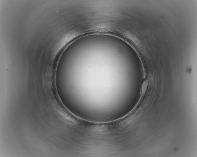 X0000091681410200709061054