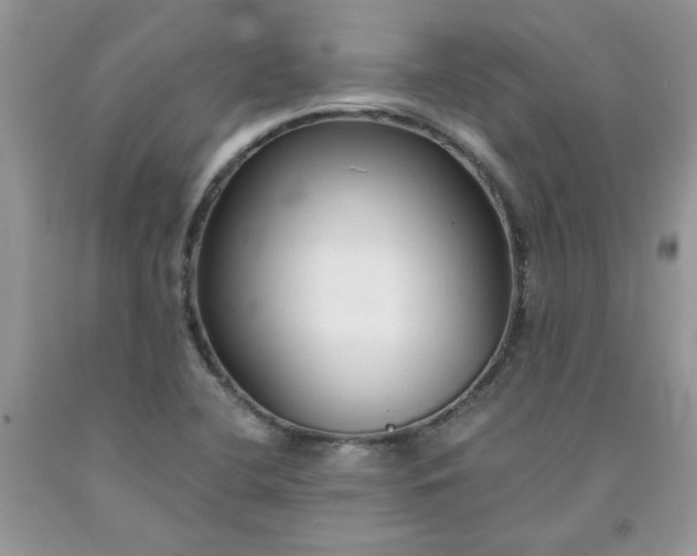 X0000091681412200709061054
