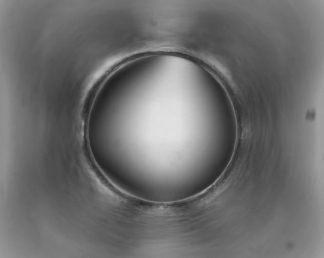X0000091681414200709061054