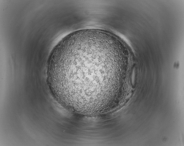 X0000091681415200709061054