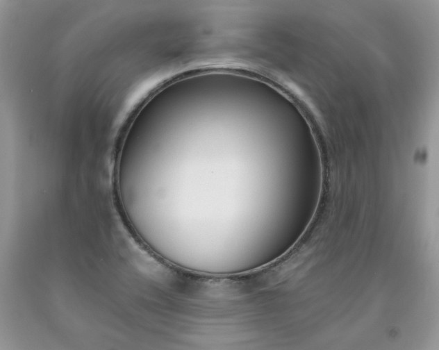 X0000091681416200709061054