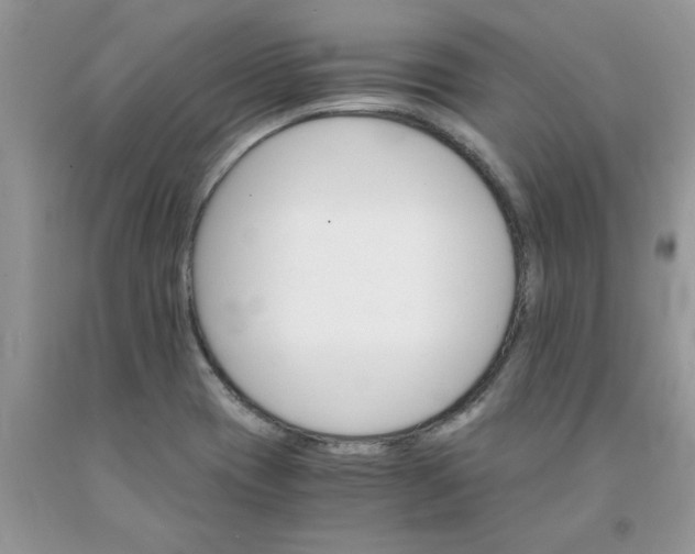 X0000091681417200709061054