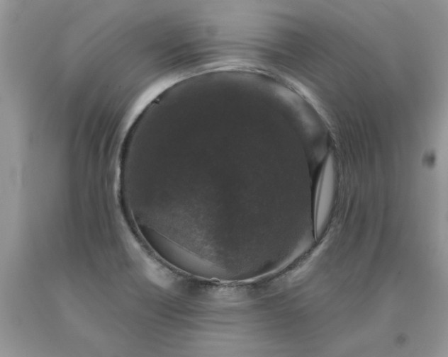 X0000091681418200709061054