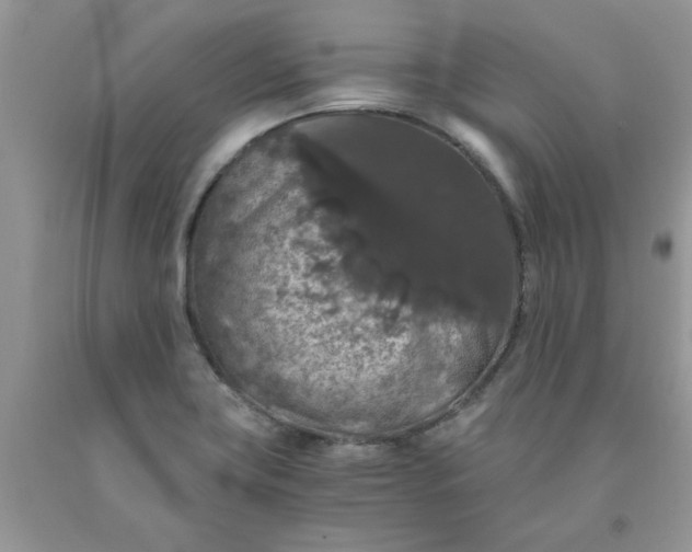 X0000091681419200709061054