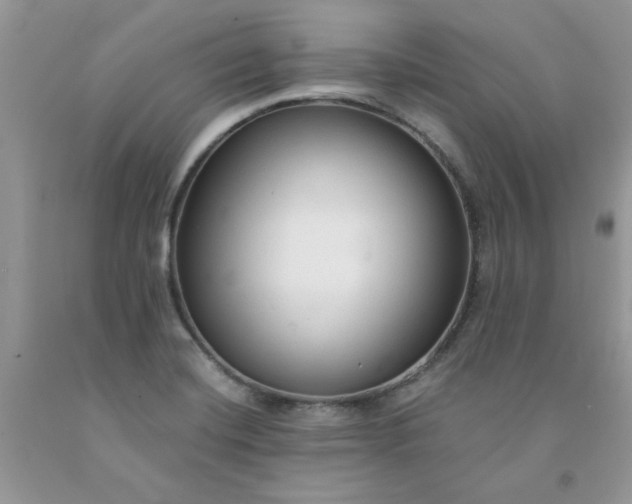X0000091681420200709061054