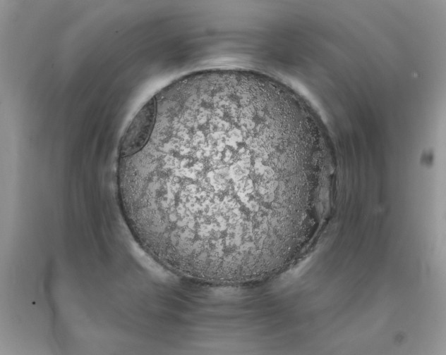 X0000091681421200709061054