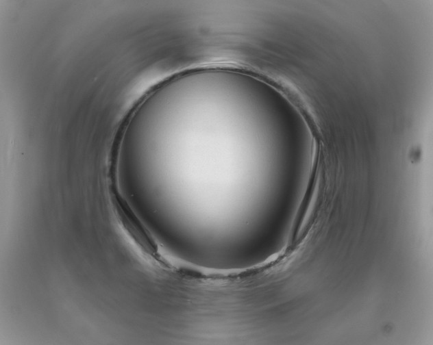X0000091681422200709061054