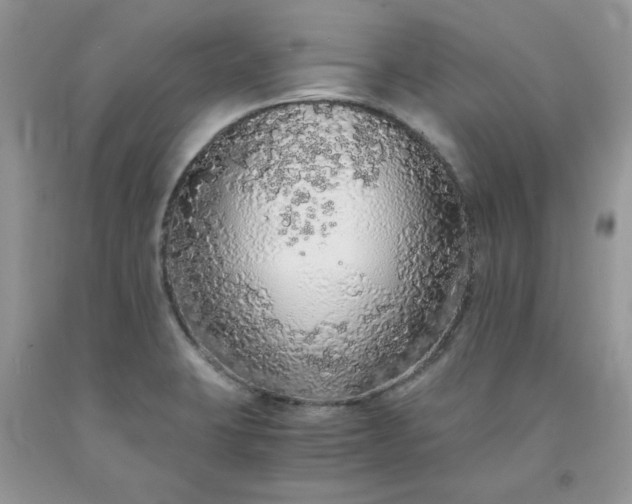 X0000091681423200709061054