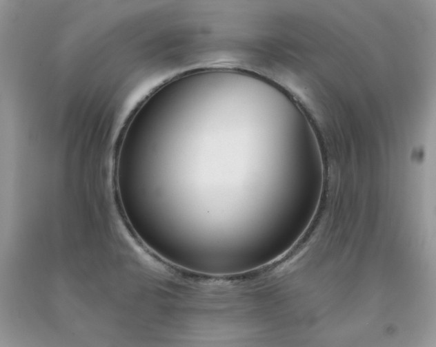 X0000091681424200709061054
