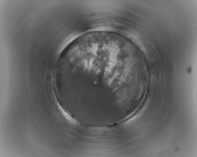 X0000091681425200709061054