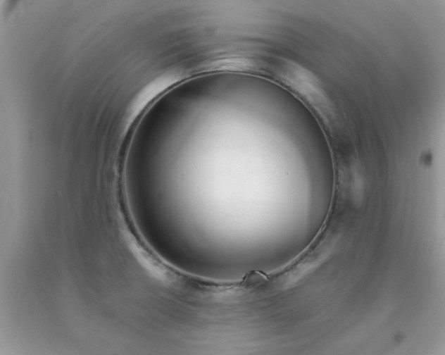 X0000091681426200709061054