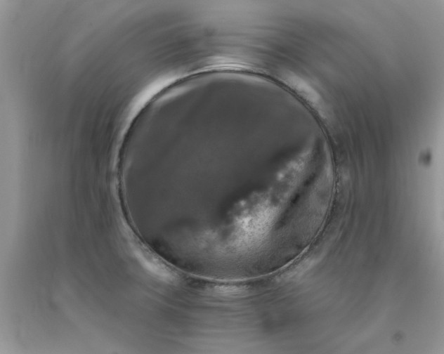 X0000091681427200709061054