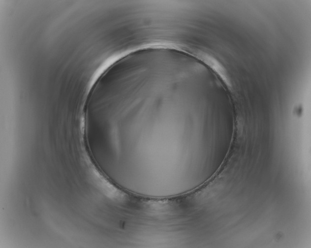 X0000091681428200709061054