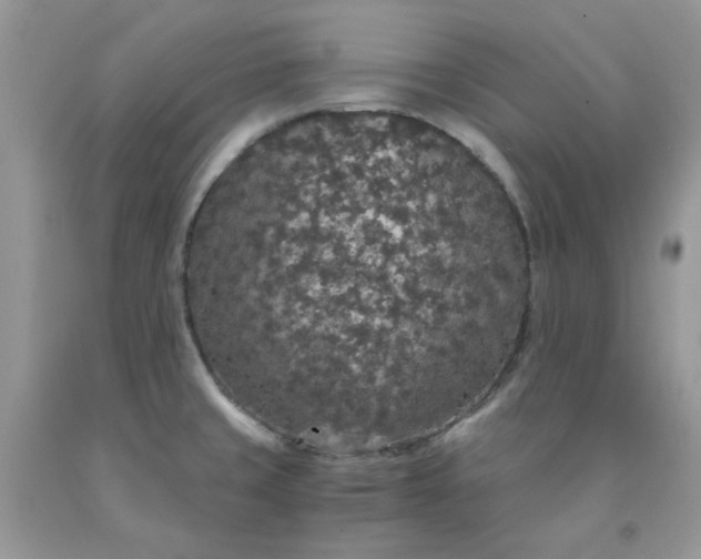 X0000091681429200709061054