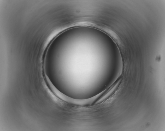 X0000091681430200709061054