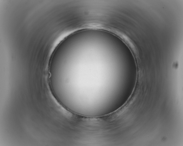 X0000091681432200709061054