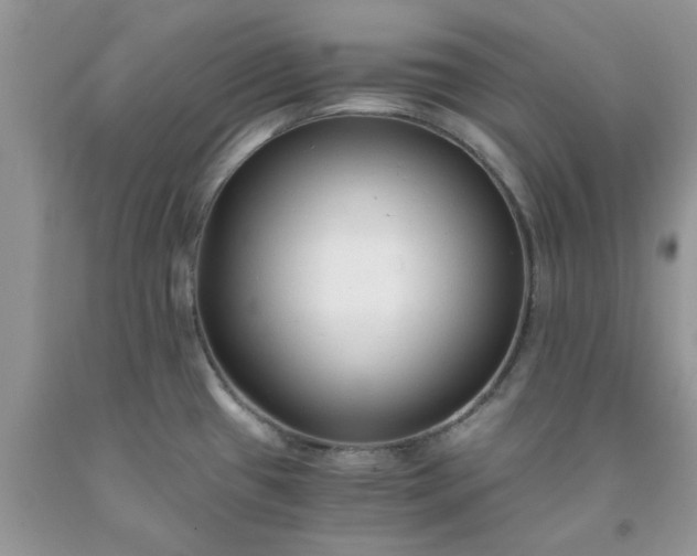 X0000091681433200709061054