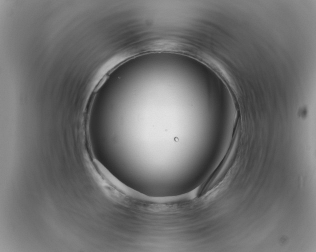 X0000091681434200709061055