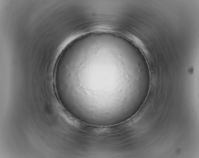 X0000091681435200709061055