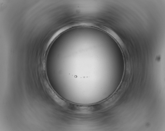 X0000091681436200709061055
