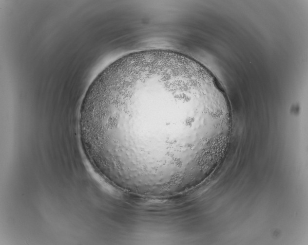 X0000091681439200709061055