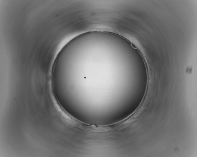 X0000091681440200709061055