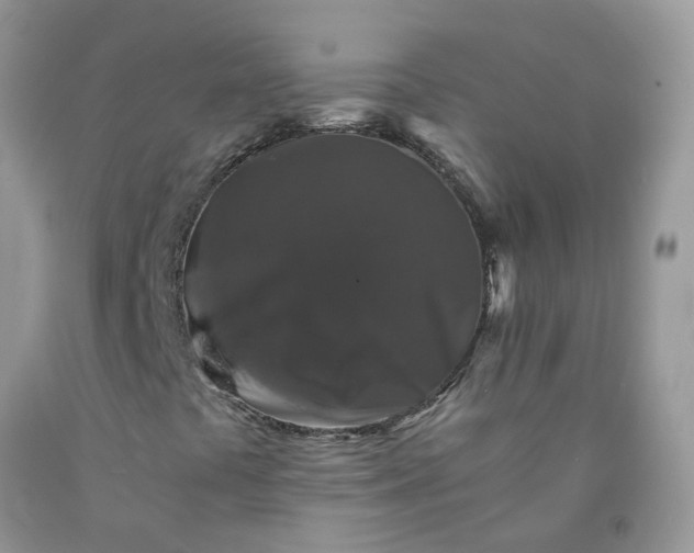X0000091681441200709061054