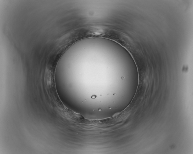 X0000091681442200709061054
