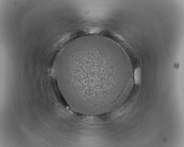X0000091681443200709061054