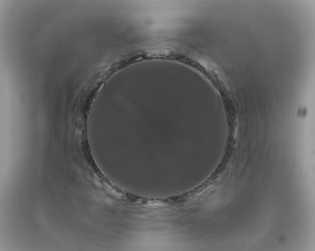 X0000091681445200709061054