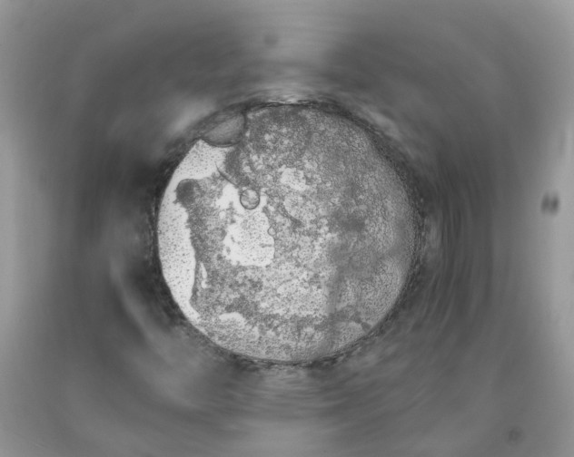 X0000091681446200709061054