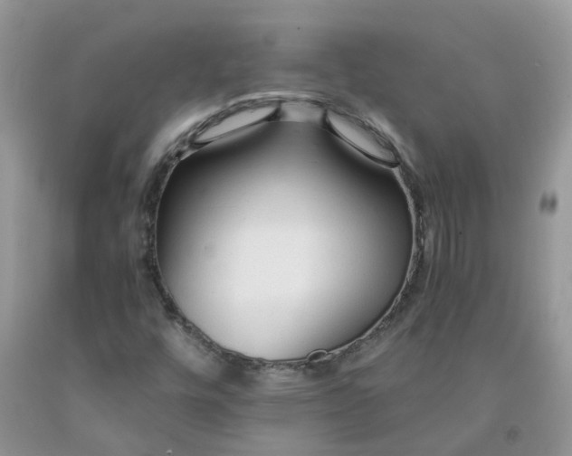 X0000091681448200709061054