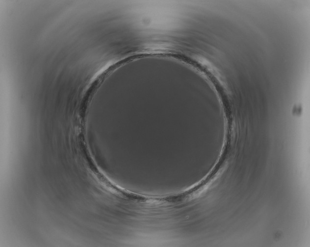 X0000091681449200709061054