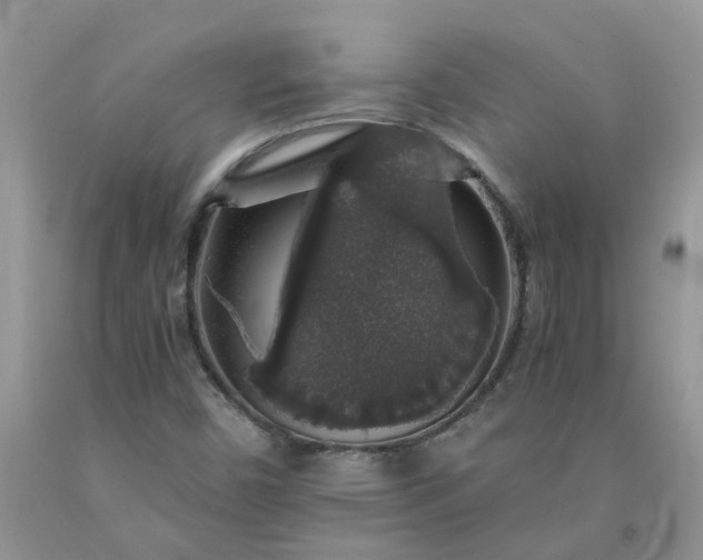 X0000091681450200709061054