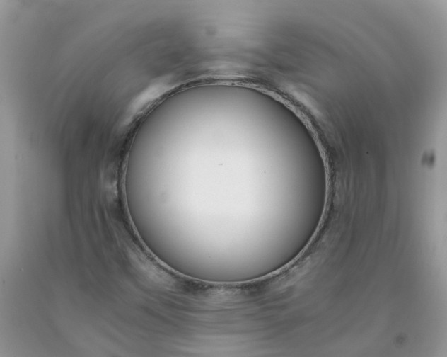 X0000091681451200709061054