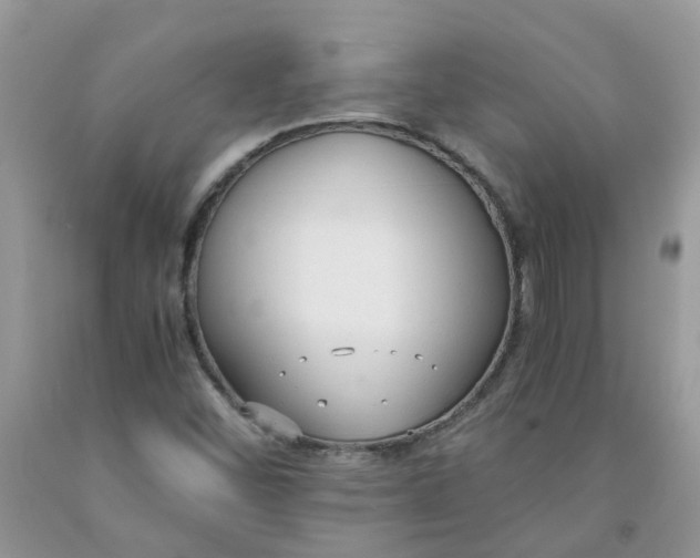 X0000091681452200709061054