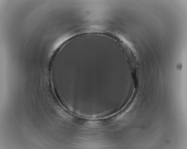 X0000091681453200709061054