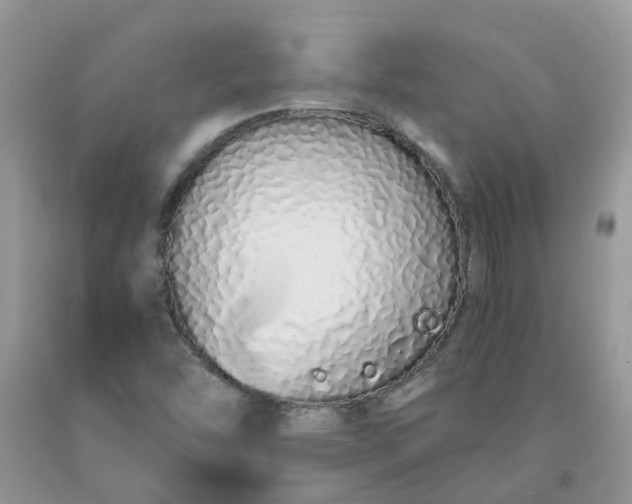 X0000091681454200709061054