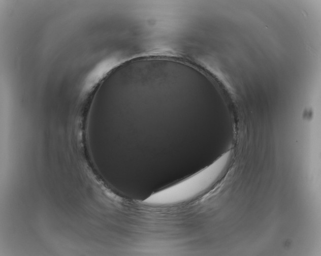 X0000091681455200709061054