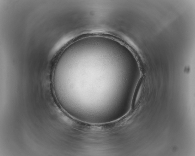 X0000091681456200709061054