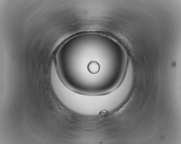 X0000091681457200709061054
