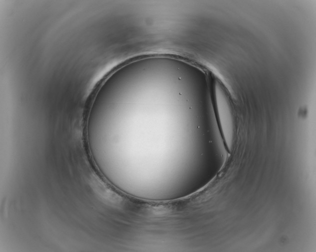 X0000091681460200709061054