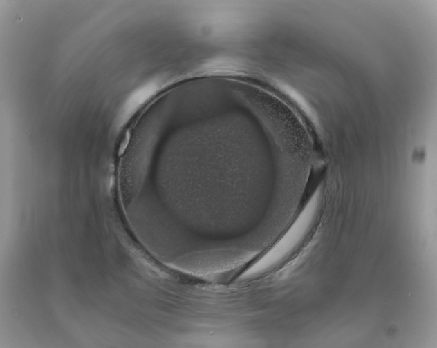 X0000091681461200709061054