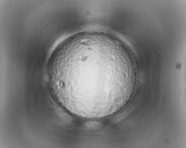 X0000091681462200709061054