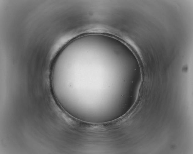 X0000091681464200709061054