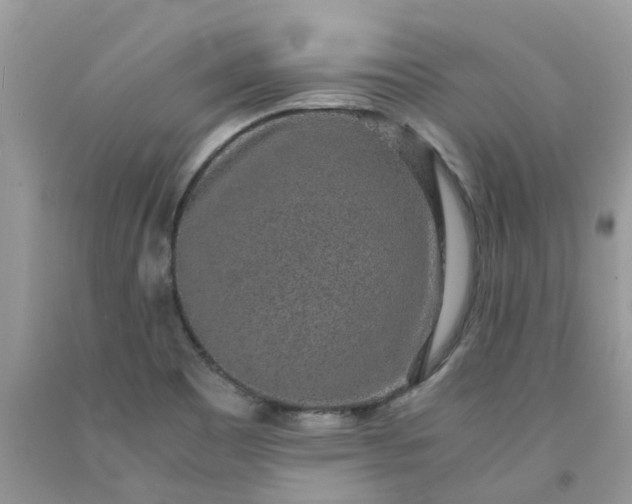 X0000091681465200709061054