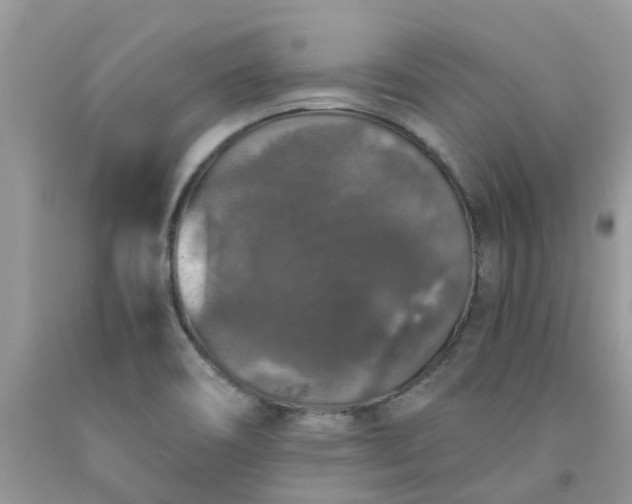 X0000091681466200709061054