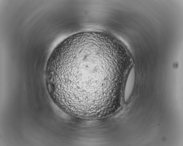 X0000091681471200709061053