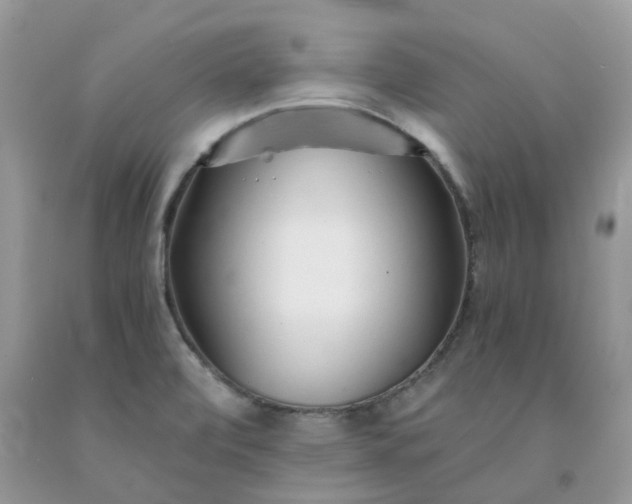 X0000091681472200709061053